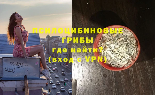 тгк Сатка
