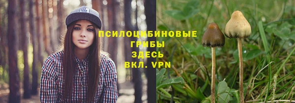 jwh Белокуриха