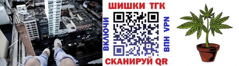 цены   Чадан  Каннабис сатива 
